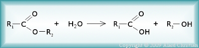 équation: ester + eau = acide + alcool