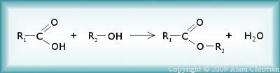 équation: acide + alcool = ester + eau