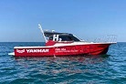 YANMAR